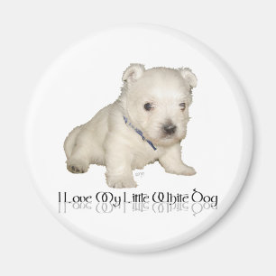 Ik hou van mijn kleine witte hond - Westie Puppy Magneet