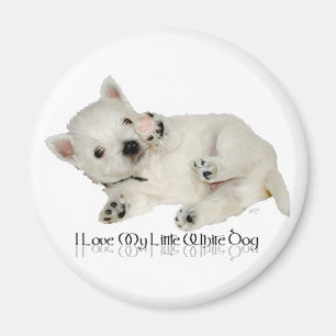 Ik hou van mijn kleine witte hond - Westie Puppy Magneet