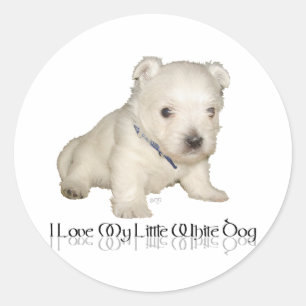Ik hou van mijn kleine witte hond - Westie Puppy Ronde Sticker