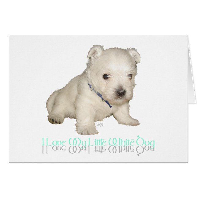 Ik hou van mijn kleine witte hond - witte puppy (Voorkant Horizontaal)