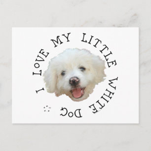 Ik hou van mijn kleine witte rescuehond briefkaart