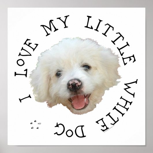 Ik hou van mijn kleine witte rescuehond poster (Voorkant)