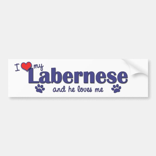 Ik hou van mijn Labernese (mannenhond) Bumpersticker (Voorkant)