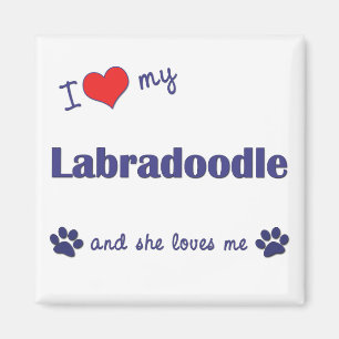 Ik hou van mijn labradoedel (Vrouw Dog) Magneet