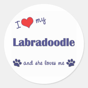 Ik hou van mijn labradoedel (Vrouw Dog) Ronde Sticker