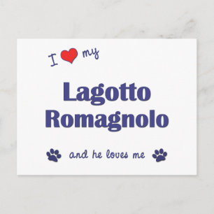 Ik hou van mijn Lagotto Romagnolo (mannenhond) Briefkaart