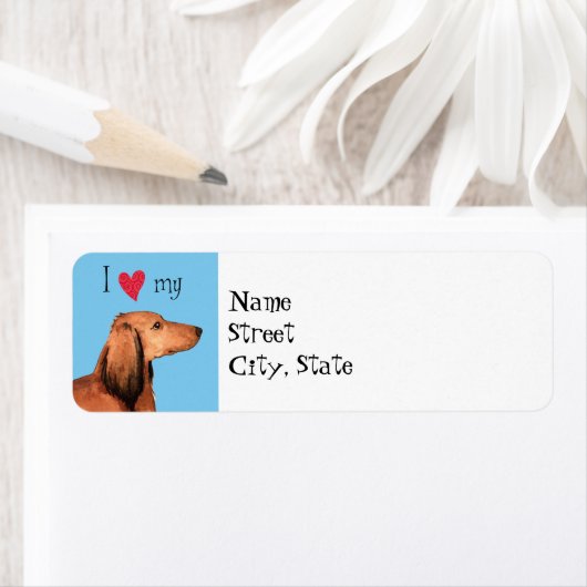 Ik hou van mijn Longhaire Dachshund Etiket (Insitu)