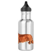 Ik hou van mijn Longhaire Dachshund Waterfles (Rechts)