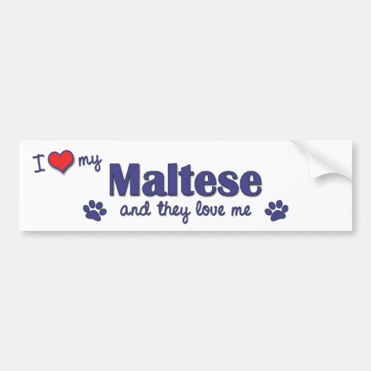 Ik hou van mijn Maltees (meerdere honden) Bumpersticker (Voorkant)