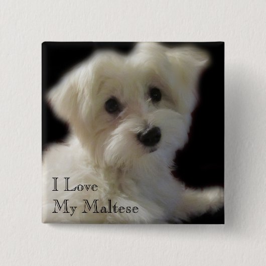 Ik hou van mijn Maltese Button (Voorkant)