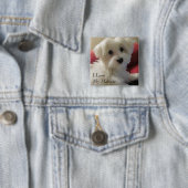 Ik hou van mijn Maltese Button (In situ)
