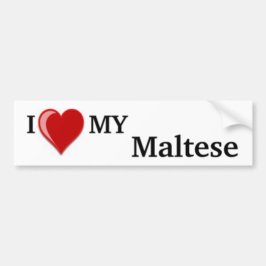 Ik hou van mijn Maltese hond Bumpersticker (Voorkant)