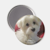 Ik hou van mijn Maltese magneet (Voorkant / Achterkant)