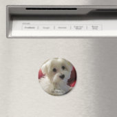 Ik hou van mijn Maltese magneet (Insitu (Vaatwasser))