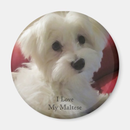 Ik hou van mijn Maltese magneet (Voorkant)