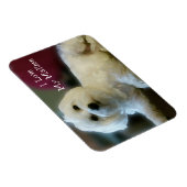 Ik hou van mijn Maltese magneet (Rechterzijde)