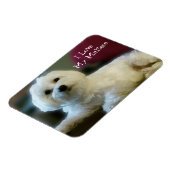 Ik hou van mijn Maltese magneet (Linkerzijde)