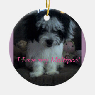 Ik hou van mijn Maltipoo! Ornament