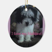 Ik hou van mijn Maltipoo! Ornament (Links)