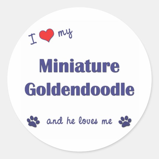 Ik hou van mijn miniatuur Goldendoedel (mannelijk  Ronde Sticker (Voorkant)