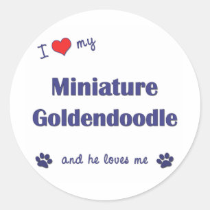 Ik hou van mijn miniatuur Goldendoedel (mannelijk  Ronde Sticker