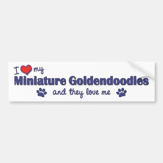 Ik hou van mijn miniatuur Goldendoedels (meervoudi Bumpersticker (Voorkant)