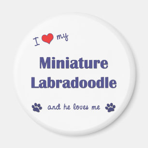 Ik hou van mijn miniatuur labradole (mannelijke ho magneet