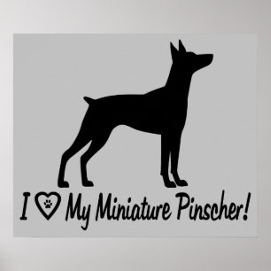 Ik hou van mijn miniatuur Pinscher in Silhouette Poster