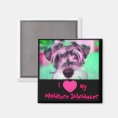 Ik hou van mijn miniatuur Schnauzer magneet (Voorkant / Achterkant)