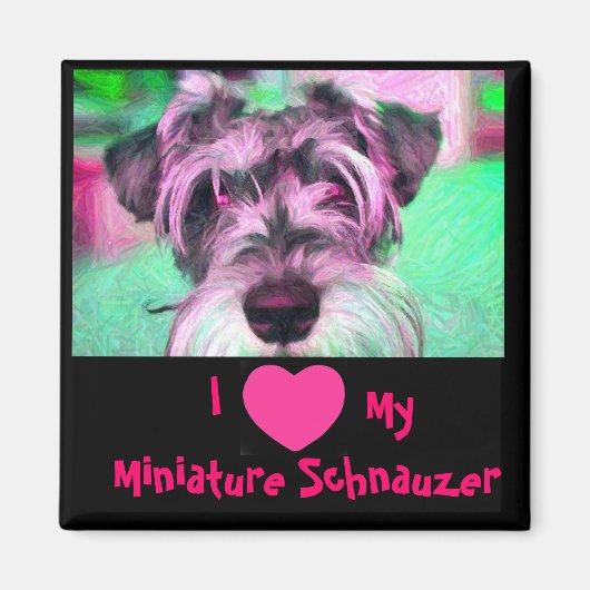 Ik hou van mijn miniatuur Schnauzer magneet (Voorkant)