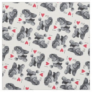 Ik hou van mijn miniatuurpoel stof