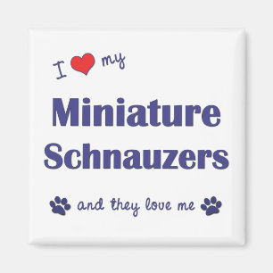 Ik hou van mijn miniatuurschnauzers (meerdere hond magneet