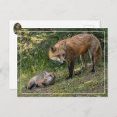 Ik hou van mijn moeder briefkaart (Voorkant / Achterkant)