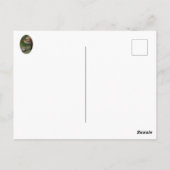 Ik hou van mijn moeder briefkaart (Achterkant)