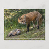 Ik hou van mijn moeder briefkaart (Voorkant)