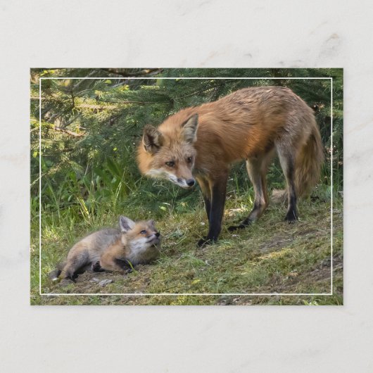 Ik hou van mijn moeder briefkaart (Voorkant)