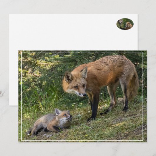 Ik hou van mijn moeder feestdagenkaart (Voorkant / Achterkant)