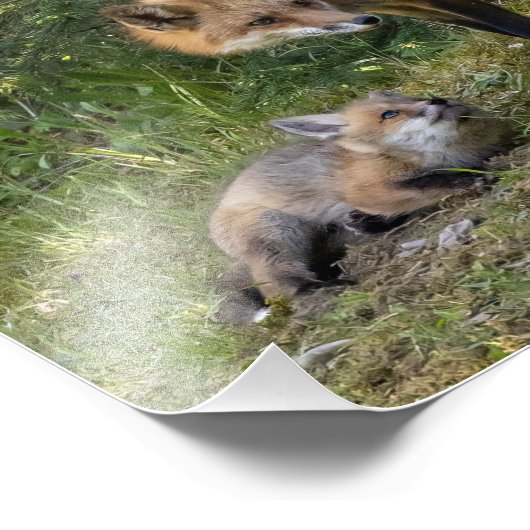 Ik hou van mijn moeder foto afdruk (Hoek)