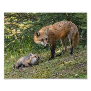 Ik hou van mijn moeder foto afdruk