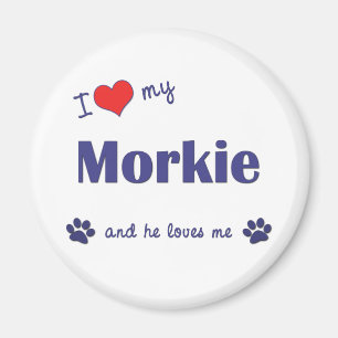 Ik hou van mijn morkie (mannelijke hond) magneet