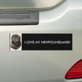 IK HOU VAN MIJN NEUWFOUNDLAND! BUMPERSTICKER (Op auto)