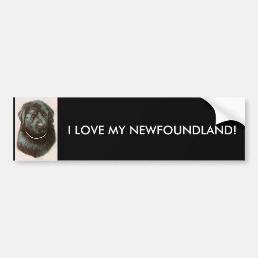 IK HOU VAN MIJN NEUWFOUNDLAND! BUMPERSTICKER (Voorkant)