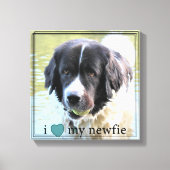 Ik hou van mijn Newfie Newfoundland Black Border Canvas Afdruk (Voorkant)