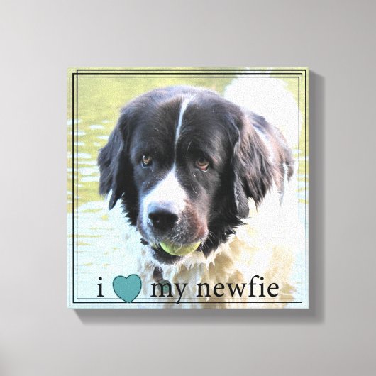 Ik hou van mijn Newfie Newfoundland Black Border Canvas Afdruk (Voorkant)