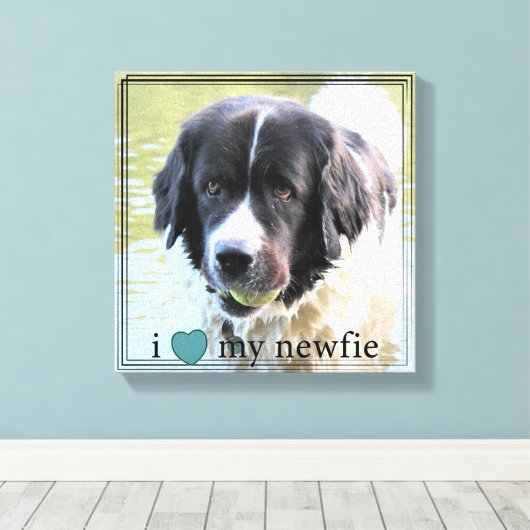 Ik hou van mijn Newfie Newfoundland Black Border Canvas Afdruk (Insitu (Houten vloer))