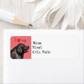 Ik hou van mijn Newfoundland Etiket (Insitu)