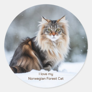 Ik hou van mijn Noorse boskat in de sneeuw Ronde Sticker