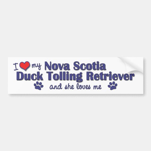 Ik hou van mijn Nova Scotia Duck Tolling Retriever Bumpersticker (Voorkant)