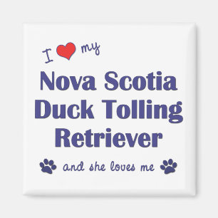 Ik hou van mijn Nova Scotia Duck Tolling Retriever Magneet