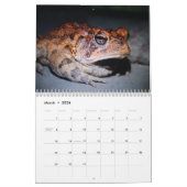 Ik hou van mijn op maat gemaakte kikkers, gedrukte kalender (Mar 2026)